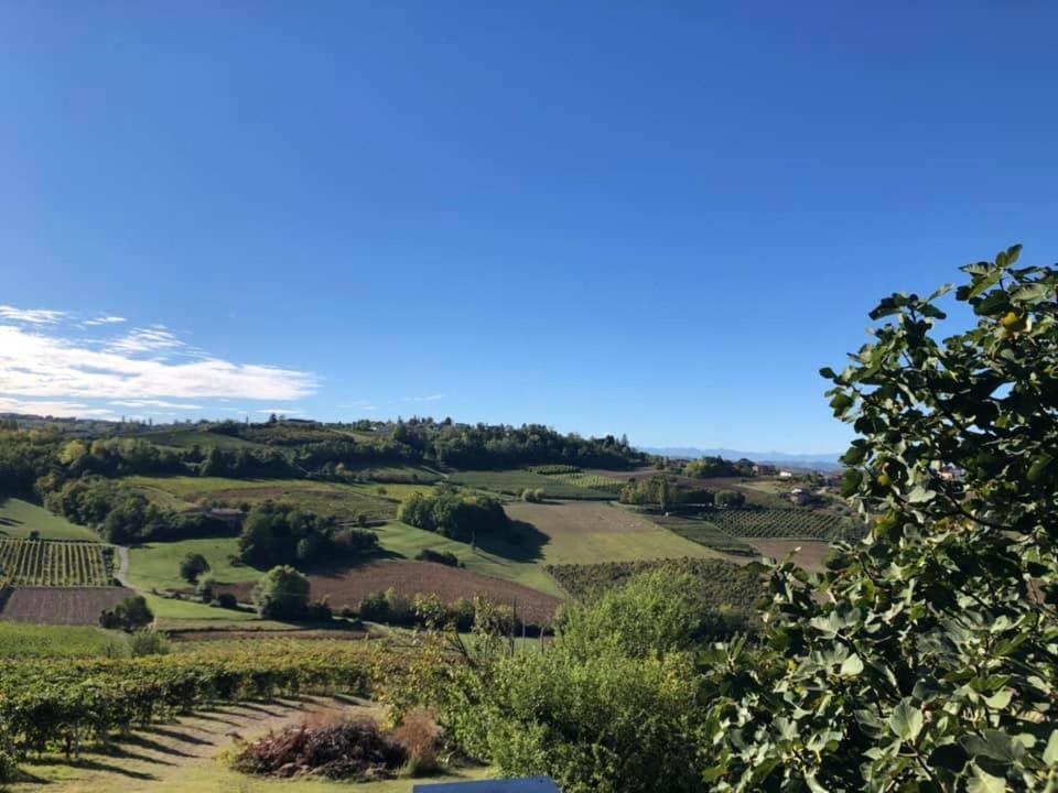 Agriturismo Podere La Piazza Costigliole d'Asti Eksteriør billede